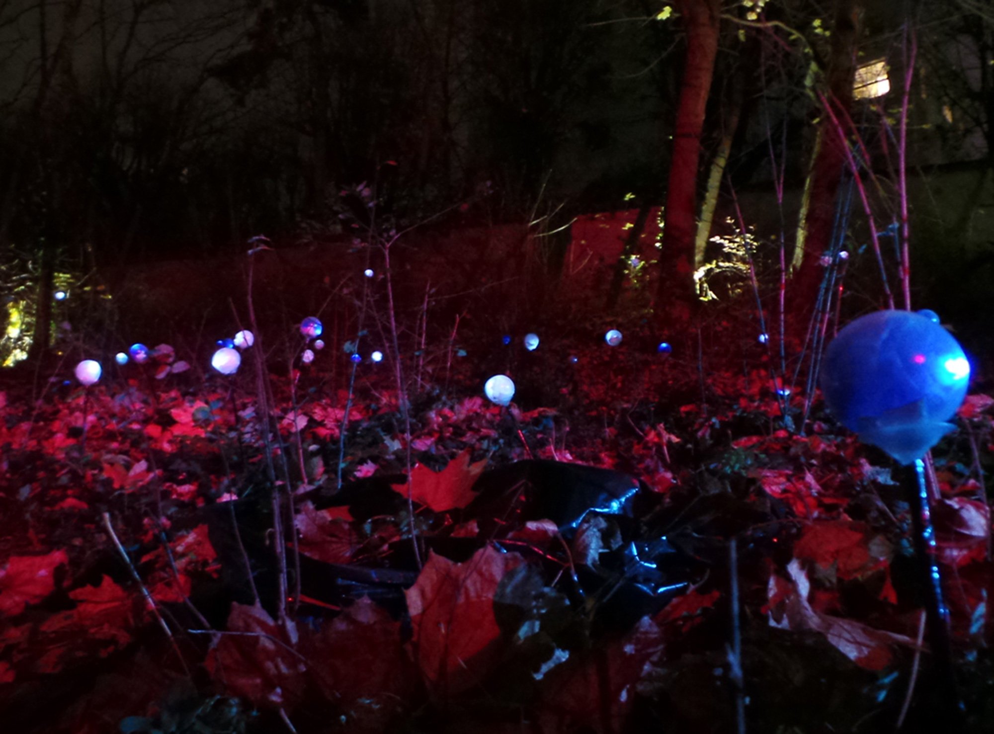 Jardin Onirique